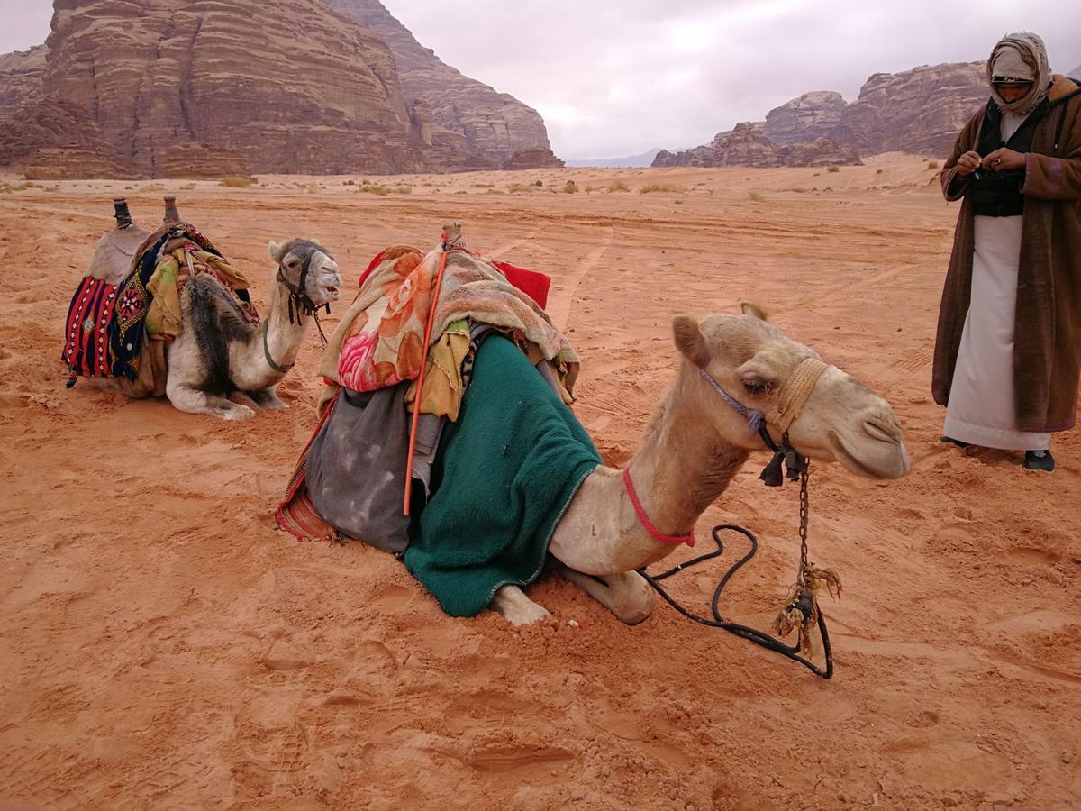 Martian Camp Wadi Rum Exterior foto