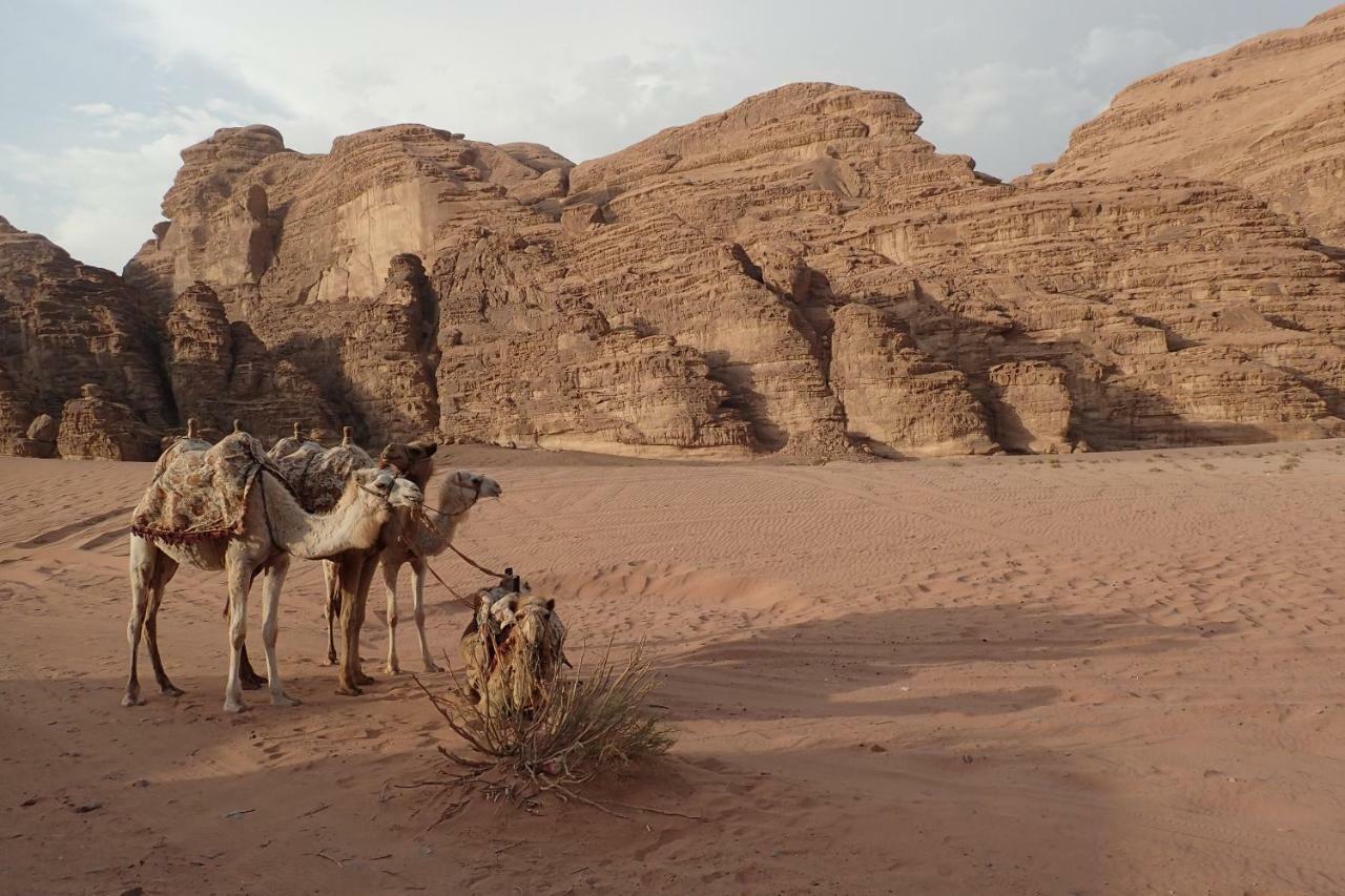 Martian Camp Wadi Rum Exterior foto